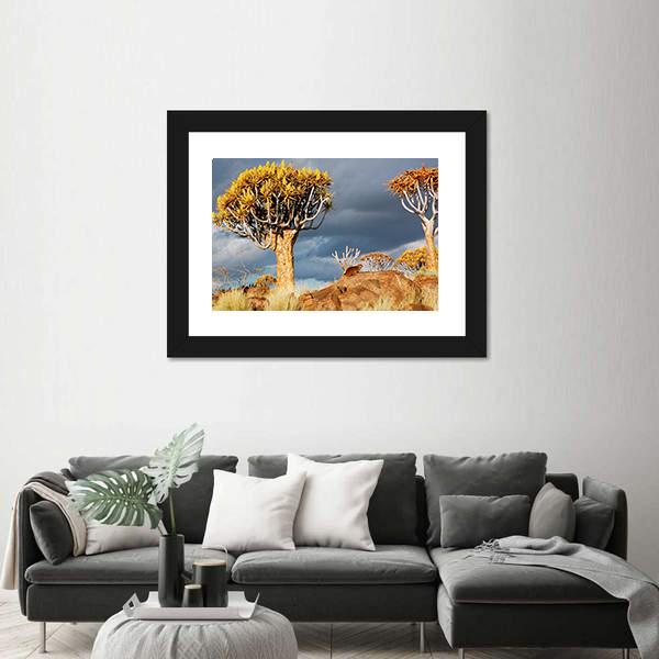 Quiver Tree Forest Landscape In South Africa Canvas Wall Art-3 Horizontal-Gallery Wrap-25" x 16"-Tiaracle