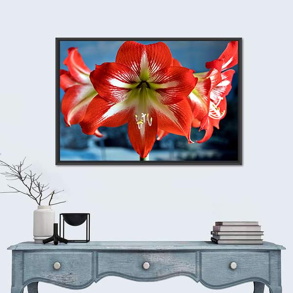 Red Amarillis Flower Canvas Wall Art-1 Piece-Floating Frame-24" x 16"-Tiaracle