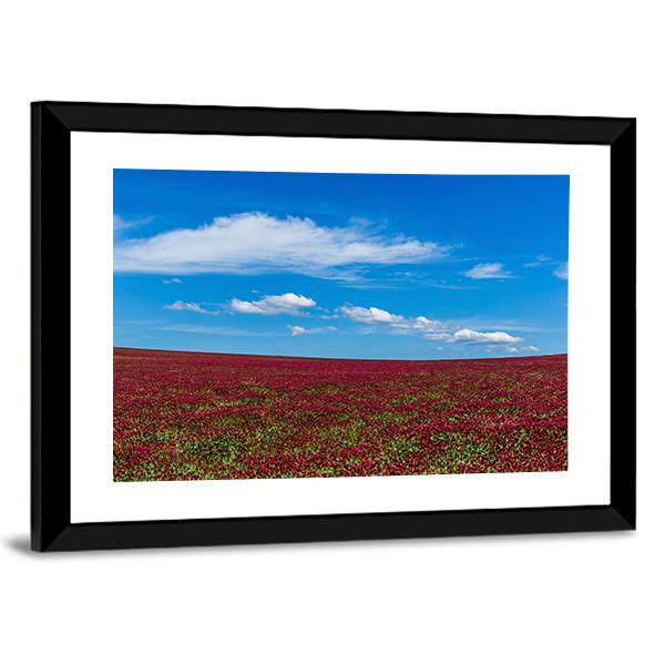Red Clover Field And Blue Sky Canvas Wall Art-3 Horizontal-Gallery Wrap-25" x 16"-Tiaracle