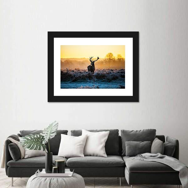 Red Deer in Morning Sun Canvas Wall Art-5 Horizontal-Gallery Wrap-22" x 12"-Tiaracle