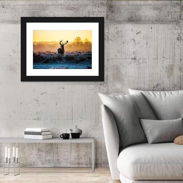 Red Deer in Morning Sun Canvas Wall Art-5 Horizontal-Gallery Wrap-22" x 12"-Tiaracle