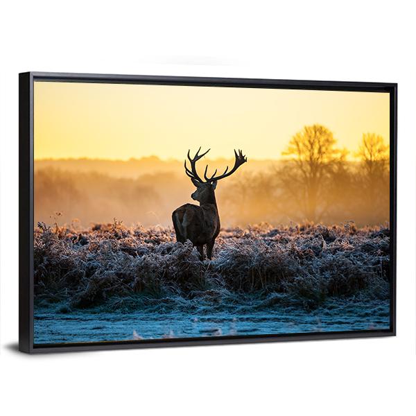 Red Deer in Morning Sun Canvas Wall Art-5 Horizontal-Gallery Wrap-22" x 12"-Tiaracle