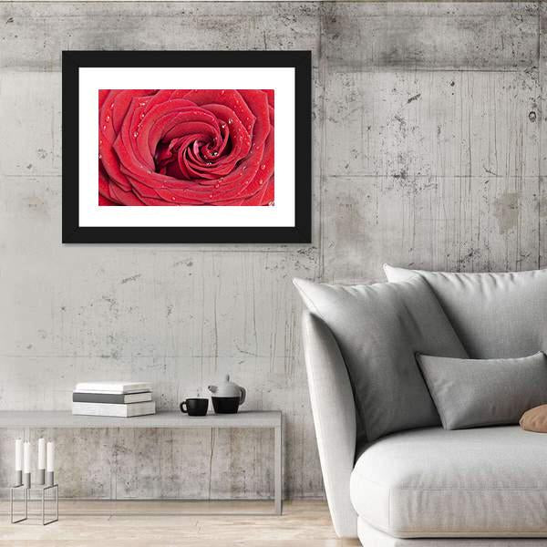 Red Rose Close Up Canvas Wall Art-3 Horizontal-Gallery Wrap-25" x 16"-Tiaracle