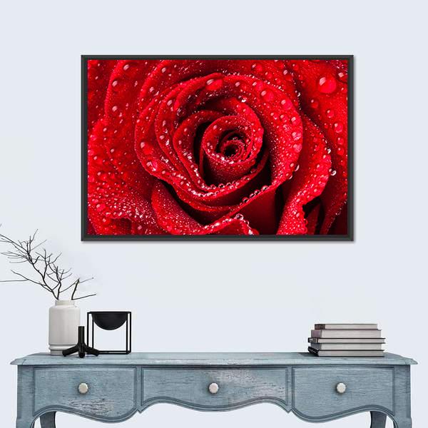 Red Rose With Dew Drops Canvas Wall Art-1 Piece-Floating Frame-24" x 16"-Tiaracle