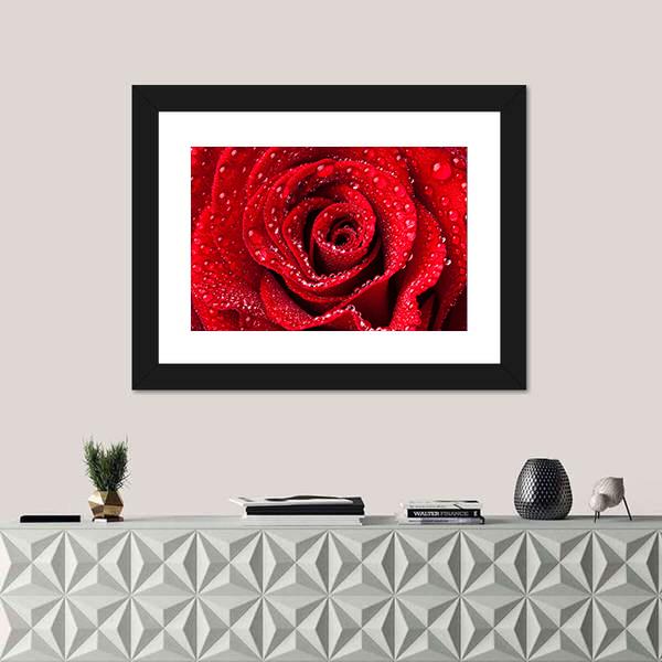 Red Rose With Dew Drops Canvas Wall Art-1 Piece-Framed Print-20" x 16"-Tiaracle