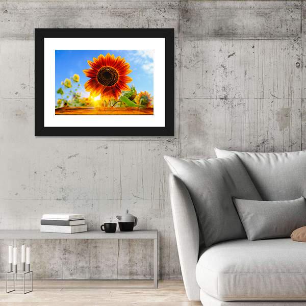 Red Sunflowers Field With Sun Rise Flare Effect Canvas Wall Art-3 Horizontal-Gallery Wrap-25" x 16"-Tiaracle