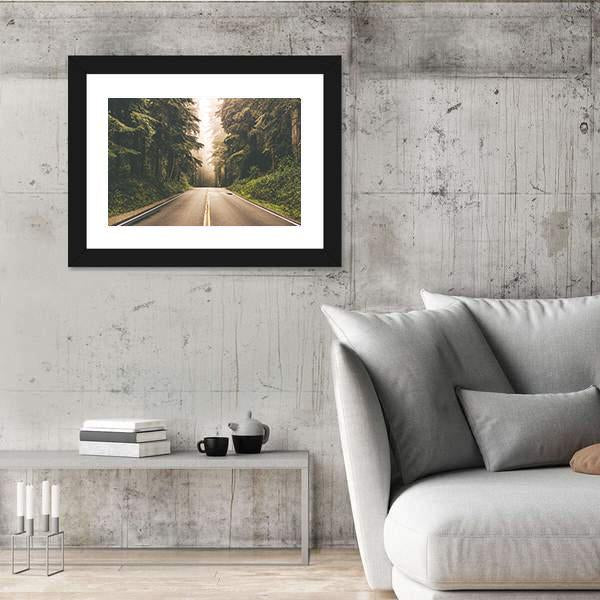 Redwood Forest Highway In California Canvas Wall Art-3 Horizontal-Gallery Wrap-25" x 16"-Tiaracle