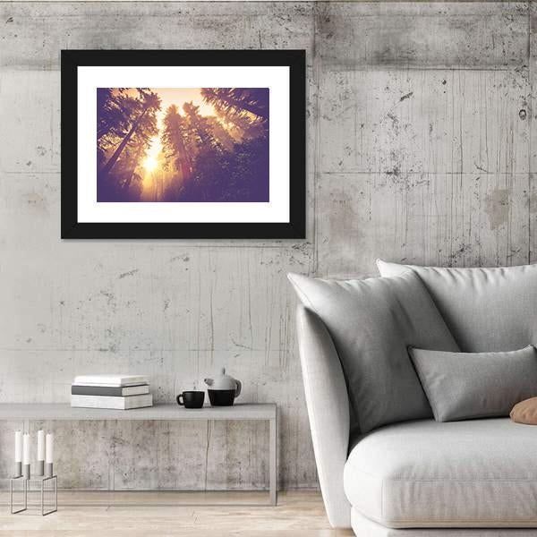 Redwood Forest In Warm Vintage Canvas Wall Art-3 Horizontal-Gallery Wrap-25" x 16"-Tiaracle