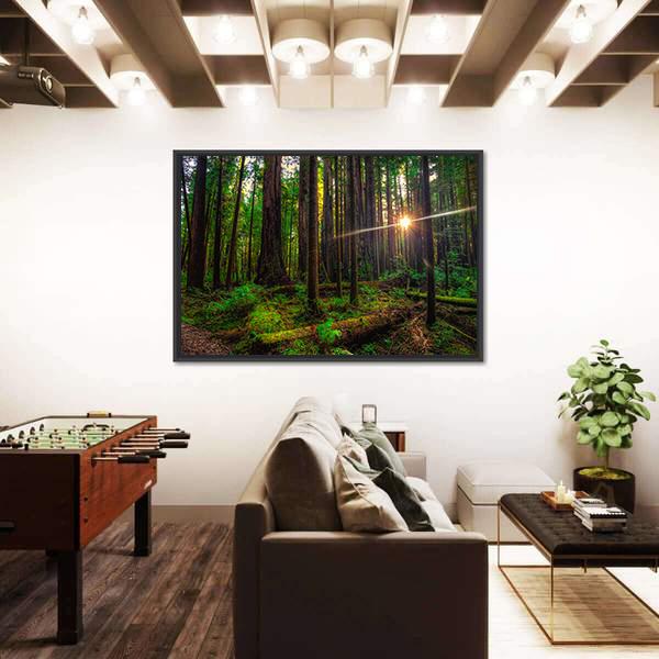 Redwoods Forest and Sunlight Canvas Wall Art-1 Piece-Floating Frame-24" x 16"-Tiaracle