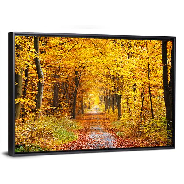 Road In The Autumn Forest Canvas Wall Art-3 Horizontal-Gallery Wrap-25" x 16"-Tiaracle