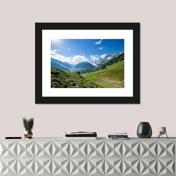 Rocky Mountains And Green Field In Jammu And Kashmir Canvas Wall Art-1 Piece-Framed Print-20" x 16"-Tiaracle
