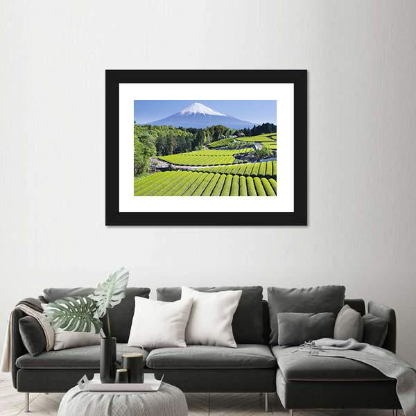 Rows Of Fresh Green Tea With Mount Fuji Canvas Wall Art-5 Horizontal-Gallery Wrap-22" x 12"-Tiaracle