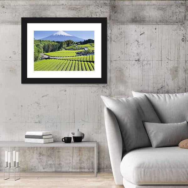 Rows Of Fresh Green Tea With Mount Fuji Canvas Wall Art-5 Horizontal-Gallery Wrap-22" x 12"-Tiaracle