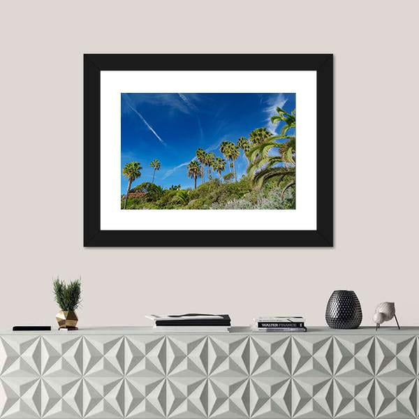 Scenery Around Laguna Beach In California Canvas Wall Art-1 Piece-Framed Print-20" x 16"-Tiaracle