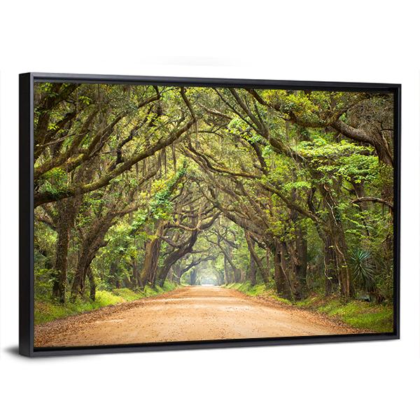Scenic Forest With Spanish Moss Edisto Island Canvas Wall Art-3 Horizontal-Gallery Wrap-25" x 16"-Tiaracle