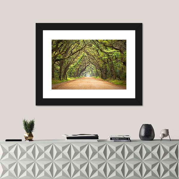 Scenic Forest With Spanish Moss Edisto Island Canvas Wall Art-5 Horizontal-Gallery Wrap-22" x 12"-Tiaracle