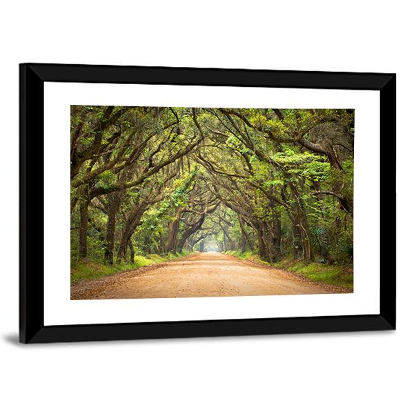 Scenic Forest With Spanish Moss Edisto Island Canvas Wall Art-3 Horizontal-Gallery Wrap-25" x 16"-Tiaracle