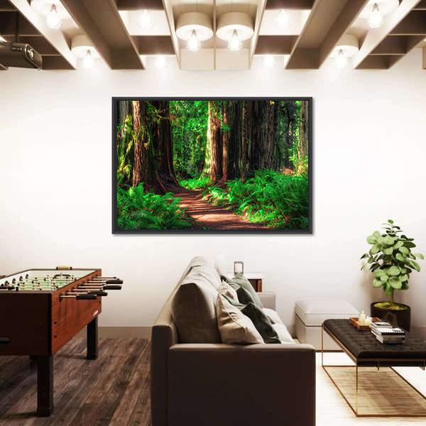 Scenic Path Through The Redwoods Forest Canvas Wall Art-1 Piece-Floating Frame-24" x 16"-Tiaracle