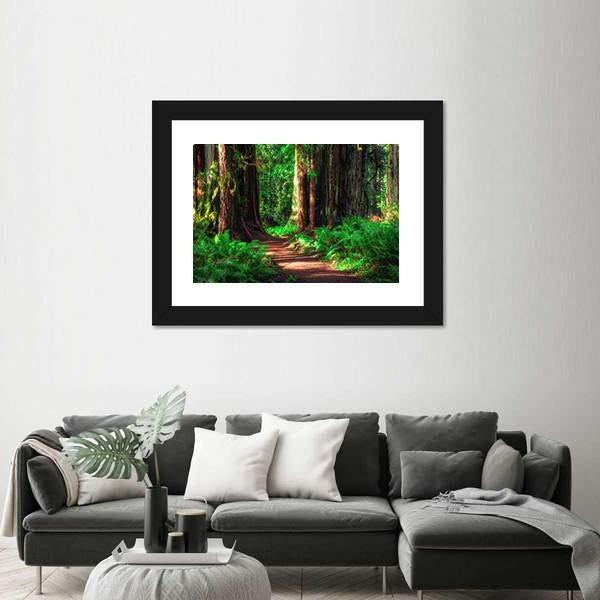 Scenic Path Through The Redwoods Forest Canvas Wall Art-1 Piece-Framed Print-20" x 16"-Tiaracle