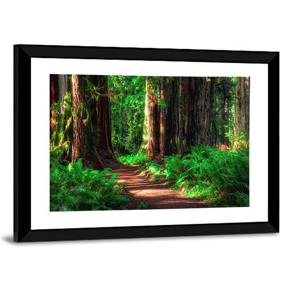 Scenic Path Through The Redwoods Forest Canvas Wall Art-5 Horizontal-Gallery Wrap-22" x 12"-Tiaracle