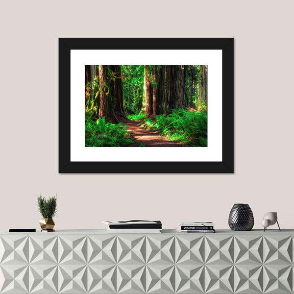 Scenic Path Through The Redwoods Forest Canvas Wall Art-5 Horizontal-Gallery Wrap-22" x 12"-Tiaracle
