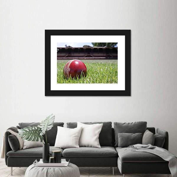 Shiny New Cricket Ball On Grass Canvas Wall Art-1 Piece-Framed Print-20" x 16"-Tiaracle