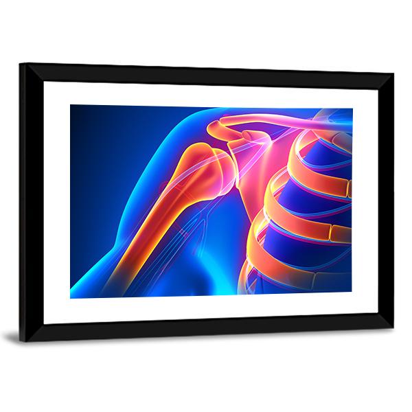Shoulder Joint Anatomy Canvas Wall Art-5 Horizontal-Gallery Wrap-22" x 12"-Tiaracle