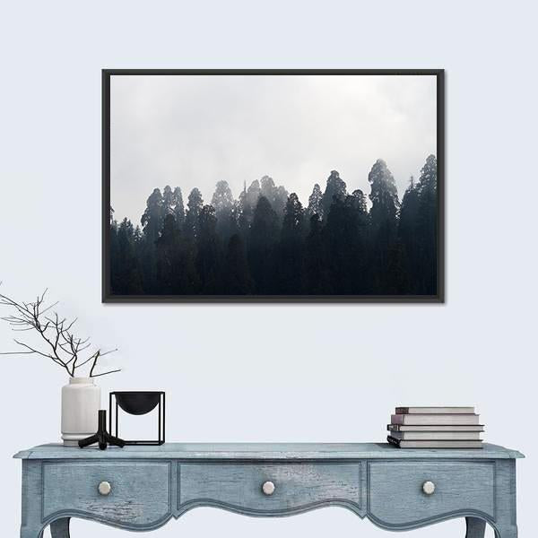 Silhouette of Redwood Forest In Mist Canvas Wall Art-1 Piece-Floating Frame-24" x 16"-Tiaracle
