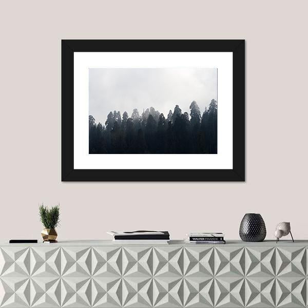 Silhouette of Redwood Forest In Mist Canvas Wall Art-1 Piece-Framed Print-20" x 16"-Tiaracle
