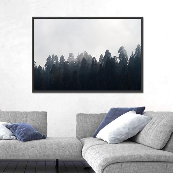 Silhouette of Redwood Forest In Mist Canvas Wall Art-5 Horizontal-Gallery Wrap-22" x 12"-Tiaracle