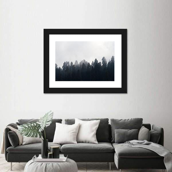 Silhouette of Redwood Forest In Mist Canvas Wall Art-5 Horizontal-Gallery Wrap-22" x 12"-Tiaracle