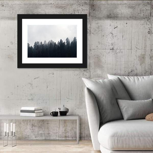 Silhouette of Redwood Forest In Mist Canvas Wall Art-5 Horizontal-Gallery Wrap-22" x 12"-Tiaracle