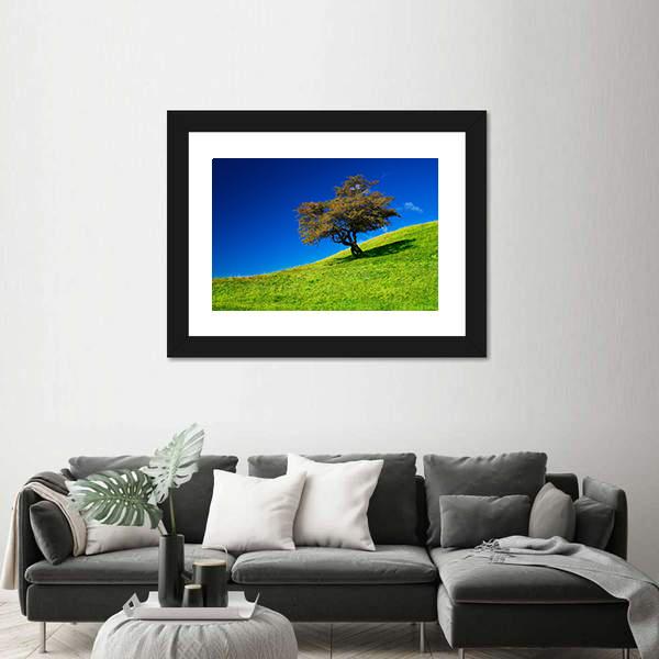 Single Tree On A Green Meadow Canvas Wall Art-3 Horizontal-Gallery Wrap-25" x 16"-Tiaracle