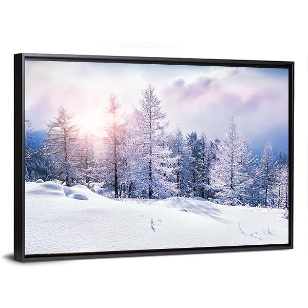 Snow Covered Trees In The Mountains At Sunset Canvas Wall Art-5 Horizontal-Gallery Wrap-22" x 12"-Tiaracle
