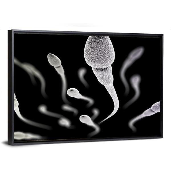 Sperm Visualization On Black Canvas Wall Art-5 Horizontal-Gallery Wrap-22" x 12"-Tiaracle