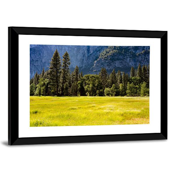 Spring Meadow At Yosemite National Park Canvas Wall Art-3 Horizontal-Gallery Wrap-25" x 16"-Tiaracle
