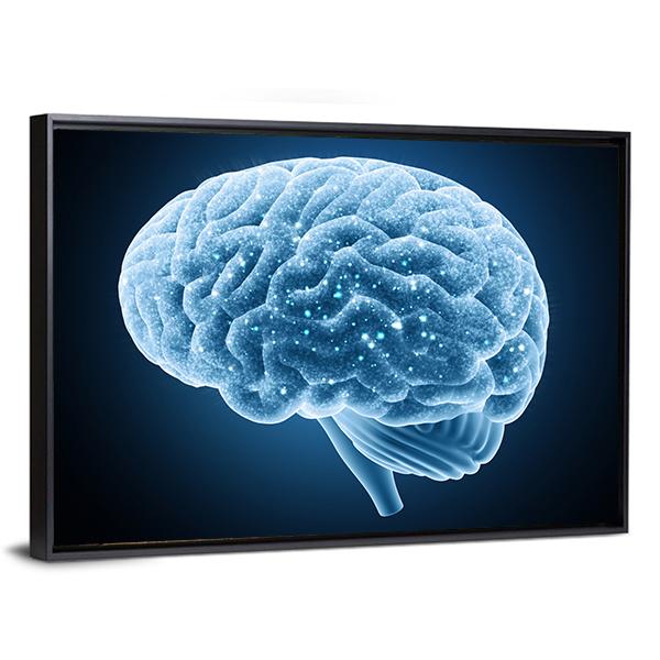 Structure Of Brain Canvas Wall Art-3 Horizontal-Gallery Wrap-25" x 16"-Tiaracle
