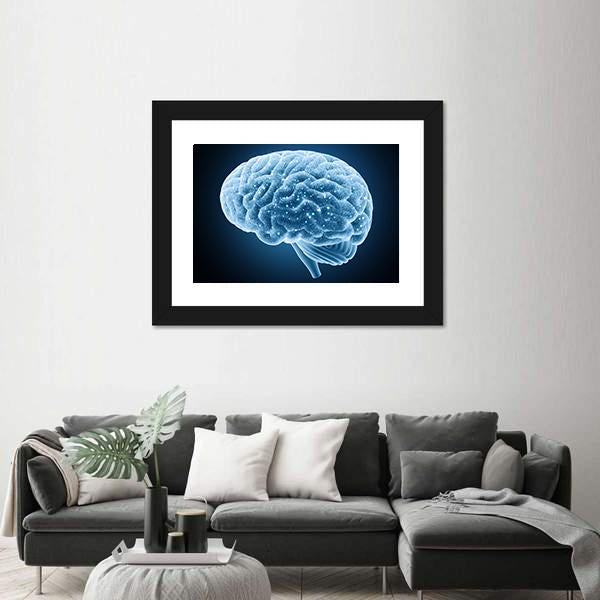 Structure Of Brain Canvas Wall Art-3 Horizontal-Gallery Wrap-25" x 16"-Tiaracle
