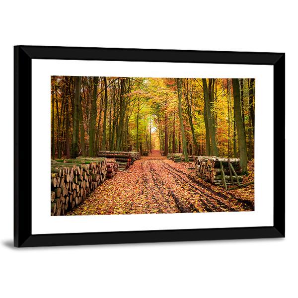 Stumped Tree In An Autumn Forest Canvas Wall Art-5 Horizontal-Gallery Wrap-22" x 12"-Tiaracle