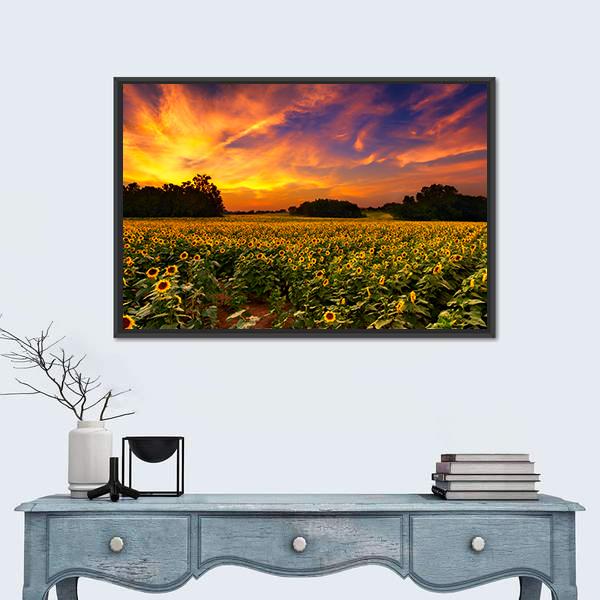 Sun Flower Field In Kansas With Sunset Canvas Wall Art-1 Piece-Floating Frame-36" x 24"-Tiaracle