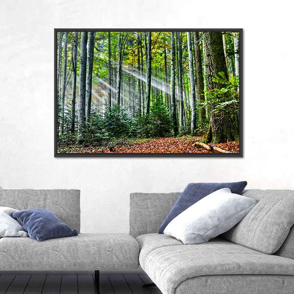 Sun Rays In The Forest Canvas Wall Art-5 Horizontal-Gallery Wrap-22" x 12"-Tiaracle