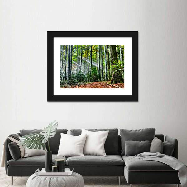 Sun Rays In The Forest Canvas Wall Art-5 Horizontal-Gallery Wrap-22" x 12"-Tiaracle