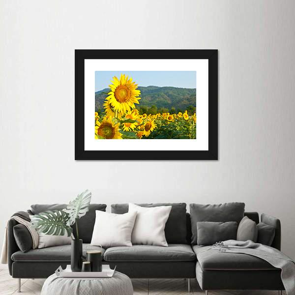 Sunflower Field And Green Mountains Canvas Wall Art-1 Piece-Framed Print-20" x 16"-Tiaracle