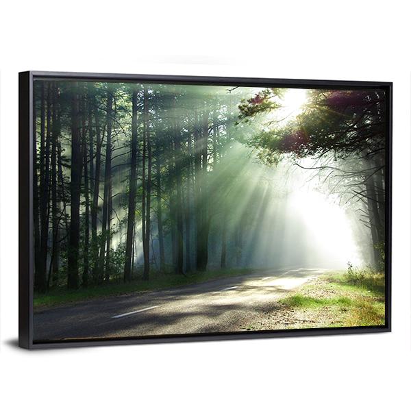 Sunlight Rays On The Forest Road Canvas Wall Art-5 Horizontal-Gallery Wrap-22" x 12"-Tiaracle