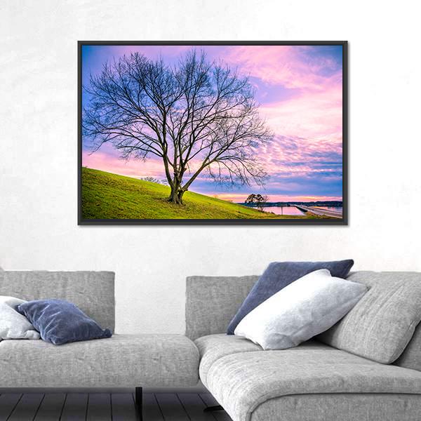 Sunset Behind Leafless Winter Tree Canvas Wall Art-5 Horizontal-Gallery Wrap-22" x 12"-Tiaracle