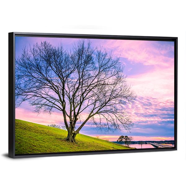 Sunset Behind Leafless Winter Tree Canvas Wall Art-5 Horizontal-Gallery Wrap-22" x 12"-Tiaracle