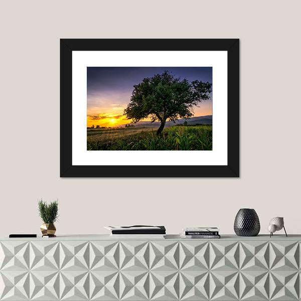 Tree By A Corn Field At Sunset Canvas Wall Art-1 Piece-Framed Print-20" x 16"-Tiaracle