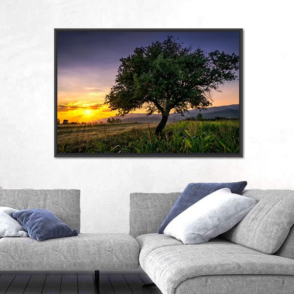 Tree By A Corn Field At Sunset Canvas Wall Art-3 Horizontal-Gallery Wrap-25" x 16"-Tiaracle