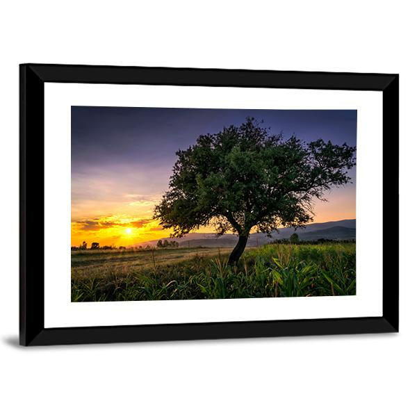 Tree By A Corn Field At Sunset Canvas Wall Art-3 Horizontal-Gallery Wrap-25" x 16"-Tiaracle