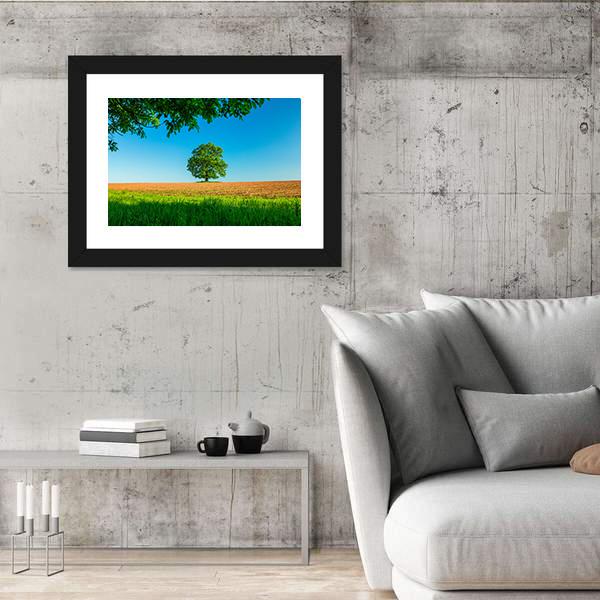 Tree In The Field And Blue Sky Canvas Wall Art-3 Horizontal-Gallery Wrap-25" x 16"-Tiaracle